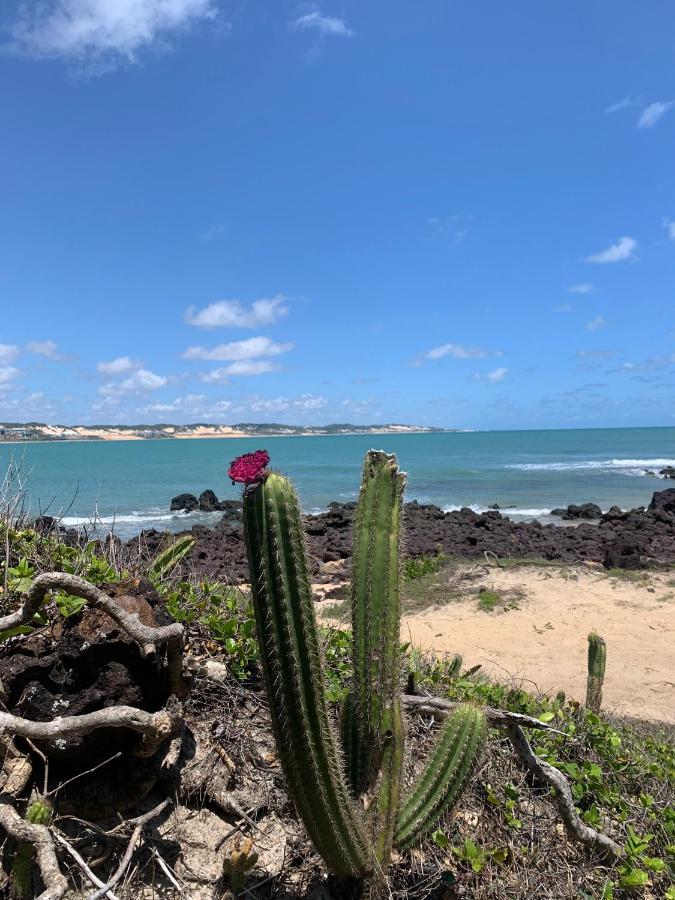 Praia De Ponta Negra Natal Rn Dış mekan fotoğraf
